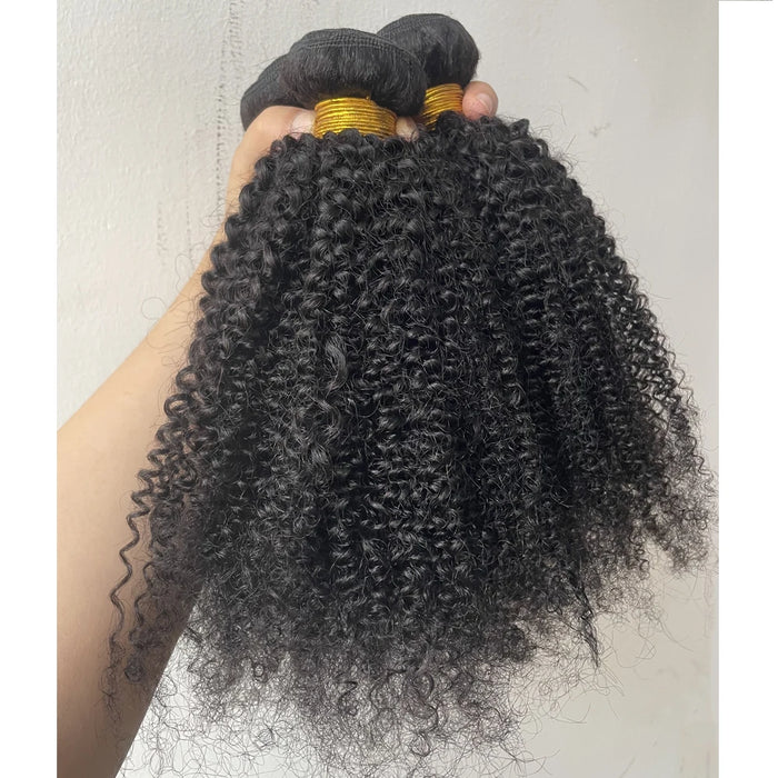 Afro Kinky Curly Human Hair