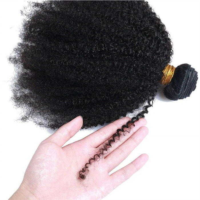 Afro Kinky Curly Human Hair
